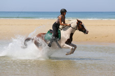 France-Dordogne-Landes and Perigord Combo Ride